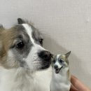 피규어스튜디오Dream