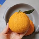 먼키135초밥숙성회 이미지