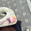 삼순이방앗간 | 가을일상걷이