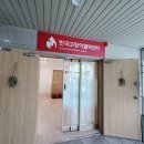 무료로 건강검진도 받고 생명도 살릴 수 있는 고양이 헌혈 후기