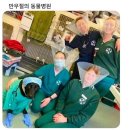 베스애견 | 수의테크니션 직종 약 1년 차 후기 및 QnA 광고 X