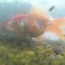 충우농장 이미지