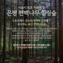 신사동 산93-1 이미지