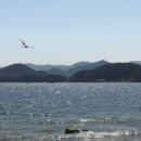 괭이바다 이미지