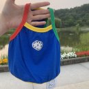 【강아지 여름옷】 빱쓸 컬러블록 강아지 크롭티 나시 너무 귀여워