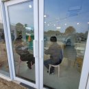 해피데이애견 이미지