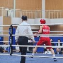 일산Box-1복싱 네이버블로그