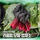 라움팜