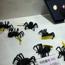 쏠레이빌리지 | [서울캣쇼] 일산 킨텍스에서 사냥 성공!