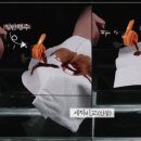 목화주방 이미지