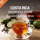 (주)노리아 | 피에트로 프로브루 브루잉