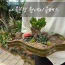 플로리움 이미지