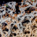 개미농장 이미지