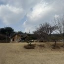 잔디밭민박 | 당진 캠핑장 진경원캠핑장 명당 6번 촌캉스 감성 잔디 캠핑장 후기