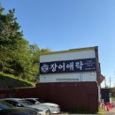 장어애홍삼민물장어 | [광명 맛집] 밤일마을 가성비 미친 국내산 민물장어! '장어애락' 내돈내산 솔직 후기