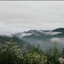 산속농원 이미지