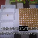 홈런볼 이미지