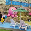 익산스파랜드사우나 이미지