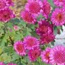 (주)제이와이솔루션 이미지