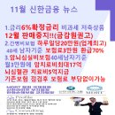 11월 금융 핫 이슈 및 회원특별 컨설팅 이미지