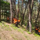 소만농장 이미지