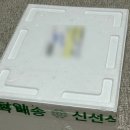 서산야채청과 | 샐러드 쌈 모듬쌈채소 사계절청년농부