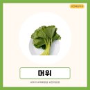 고려농약사 이미지