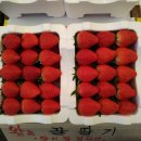 성재상회(강진시장 1호) | 청량리청과물시장 출구안내, 시장단골집알려드릴게요