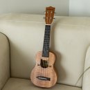 플레이 우쿨렐레 이미지