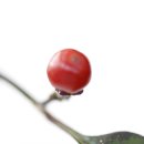 한우리약국 이미지