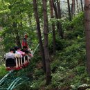 백두대간약초마을 이미지