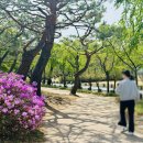 국립서울현충원 유품전시관 | 서울 아이들과 가볼만한 곳 국립서울현충원 주차 등 상세 후기