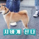 오후의미술학원