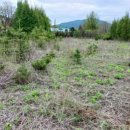 반제농장 이미지