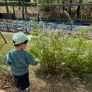 방배임광3차 | 송파구 3인가족 재테크 #16 : 방배 그랑자이 앞 방배 임광3차 임장 후기 (상급지 갈아타기)