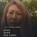 [일반] 타라 오 박사가 청문회 이후 한국인들에게 남긴 말 이미지