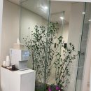 티알트리니티라파엘로청담의원 | 청담 성형외과 생활 패턴을 점진적으로 회복하기