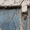 목련약국 이미지