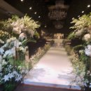 웨딩프로포즈 이미지