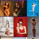 홍프로짐 이미지