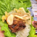 조선갈매기