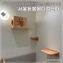 서울동물메디컬센터 | 오포 24시간 운영하는 '서울동물메디컬센터' #고양이말라세지아 #고양이중성화 #고양이접종