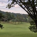 금강의전 이미지