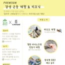 농티