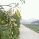 바우찹쌀농장 이미지