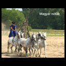 마자르족의 타령(노래)들 - 전통 헝가리 가락들 이미지