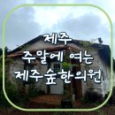 숲속한의원 | 주말에, 일요일에 여는 제주도 한의원(교통사고 트라우마, 체질개선) 제주숲한의원 방문 후기