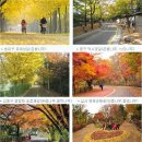 목동서로6길 이미지