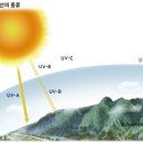 1st WELLNESS CENTER | 자외선선크림에 대하여