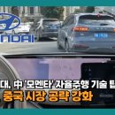 더모멘타